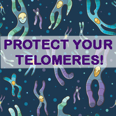 Protect Your Telomeres